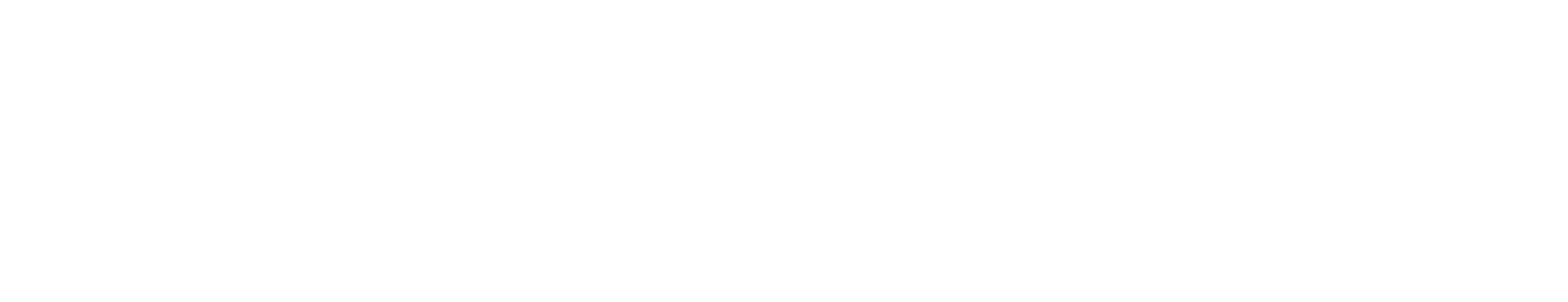 logo-webstudio-lang-dun_smal_wit